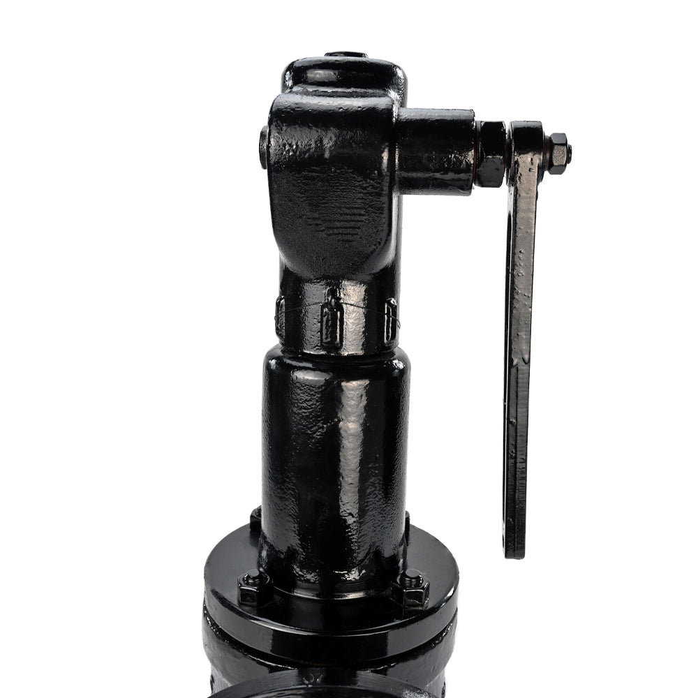 Spring safety valve DNOVA SAFE 7011 1.6-2.5, body material - stainless steel AISI A10, closure element material - stainless steel AISI 420, seal - METAL