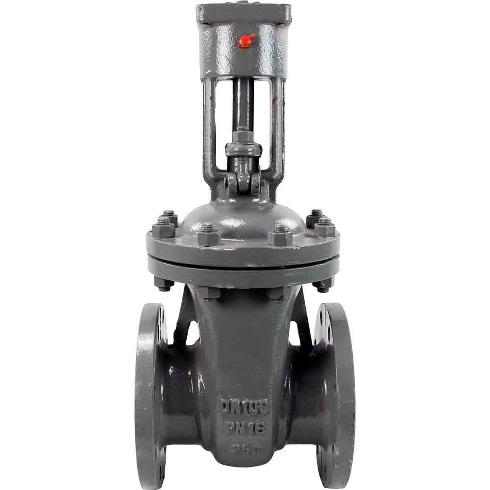 Wedge gate valve DNOVA GVWR2134M-2W-F-OST, body material - stainless steel AISI A10, wedge material - stainless steel AISI A216, seal - METAL, stem only