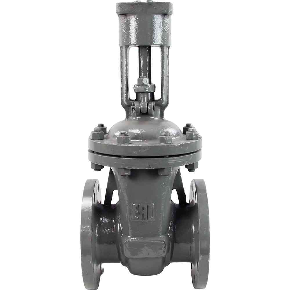 Wedge gate valve DNOVA, body material - stainless steel AISI A10, wedge material - stainless steel AISI A216, seal - METAL, stem only