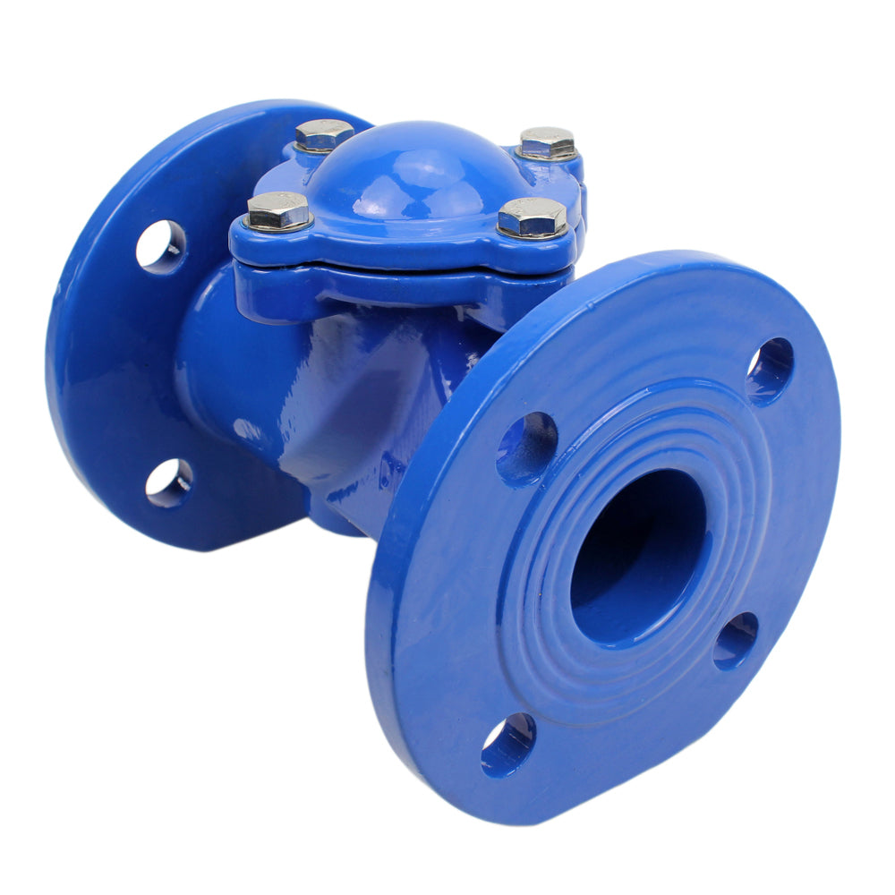 Check Valves