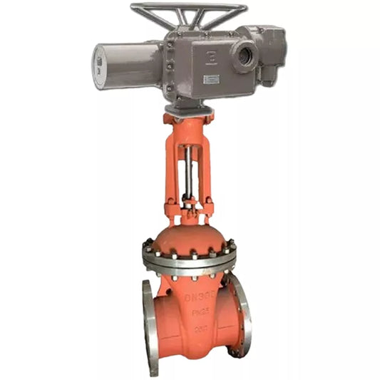 Wedge gate valves 30s941nzh DNOVA GVWR2134M-2W-F-OST flanged body - steel 25L, seal - metal, with OST flanges round stem, control - electric drive DNOVA MT-N-EM-O2-220-U1