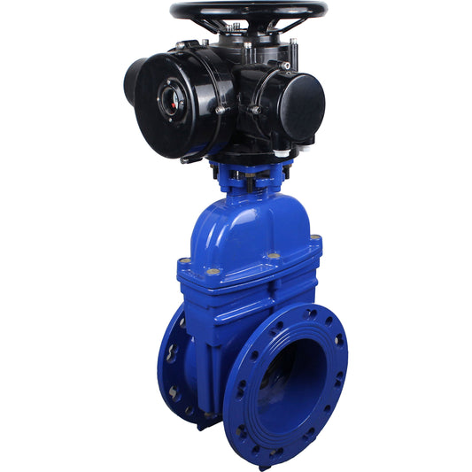 Wedge valves DNOVA GVWN1414E-2W-F flanged, wedge - rubber-coated, spindle - non-rising, body - cast iron, seal - EPDM, with OST flange with multi-turn electric drive MT-N-EM-O2-220VAC-U1 five-jaw