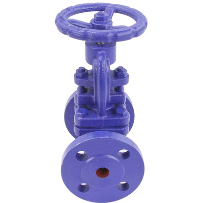 Bellows Stop Valve DNOVA V234A 16 bar cast iron flange connection