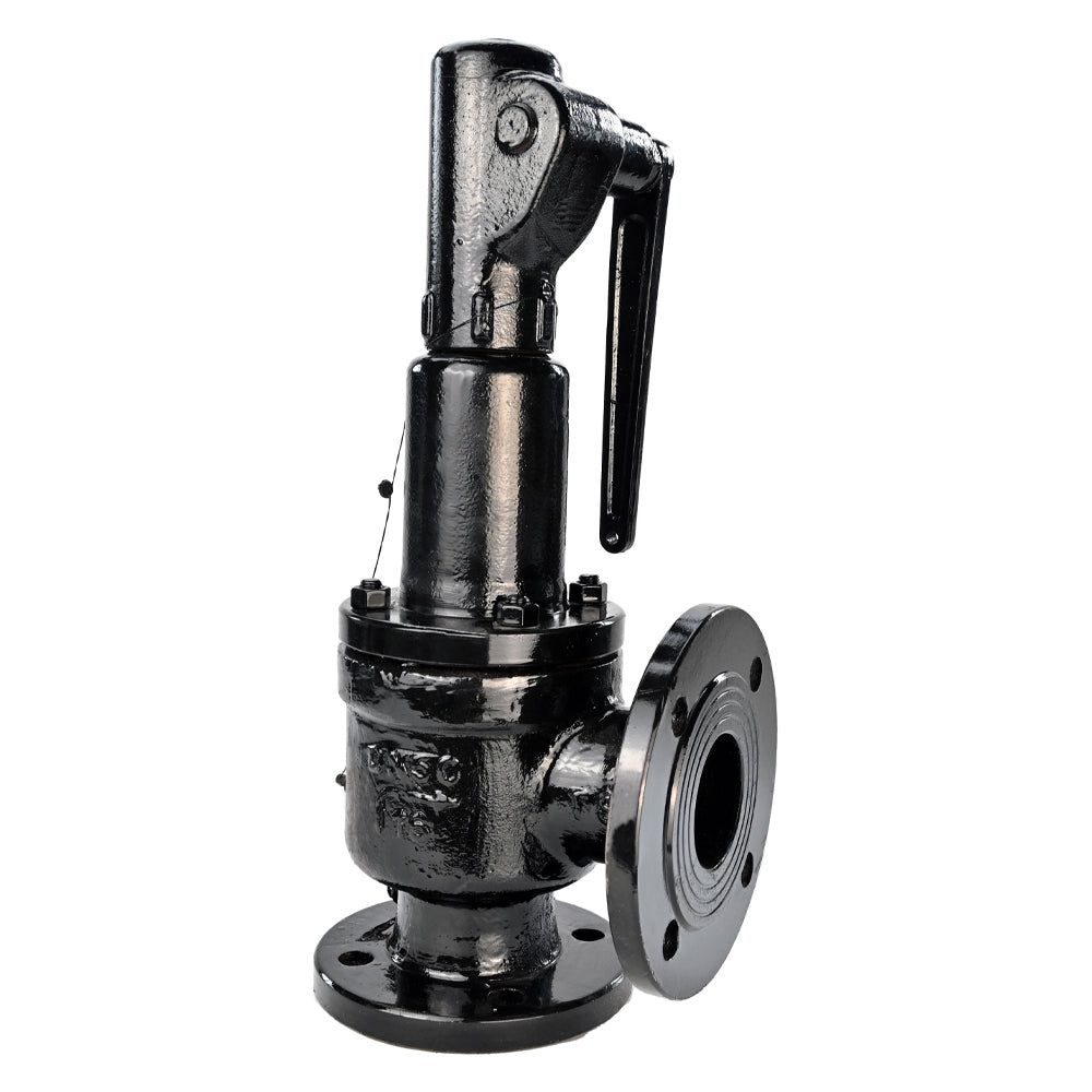 Spring safety valve DNOVA SAFE 7011 8-10, body material - stainless steel AISI A10, closure element material - stainless steel AISI 420, seal - METAL