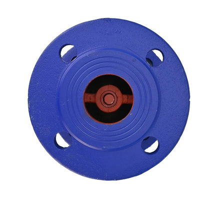 Spring check valve DNOVA 402A 16 bar body material - cast iron GGG50, flanged