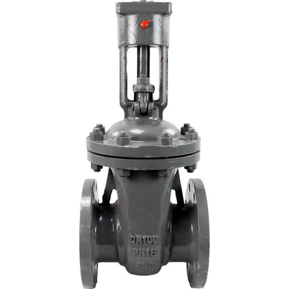Wedge gate valve DNOVA GVWR2134M-2W-F-OST, body material - stainless steel AISI A10, wedge material - stainless steel AISI A216, seal - METAL, stem only