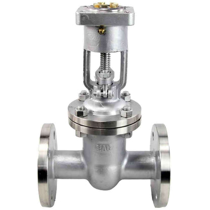 Wedge gate valve DNOVA, body material - stainless steel AISI J92630, wedge material - stainless steel AISI A216, seal - METAL, stem only