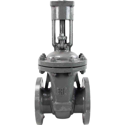 Wedge gate valve DNOVA, body material - stainless steel AISI A10, wedge material - stainless steel AISI A216, seal - METAL, stem only